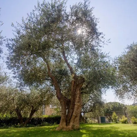 Sugli Allori 펜션 *