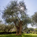 Sugli Allori בית נופש *