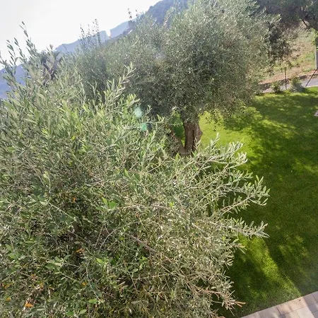 Sugli Allori Hébergement de vacances Diano Marina