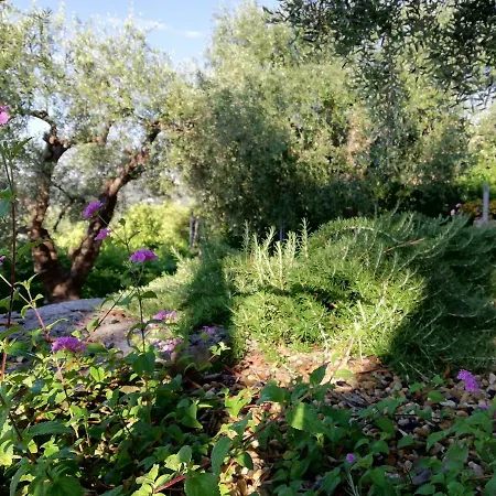 Sugli Allori Σπίτι διακοπών