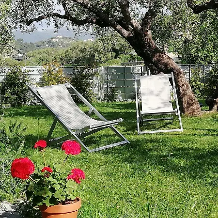 Sugli Allori
